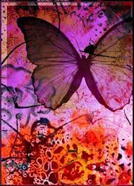 Mariposas De Dia Mariposas De Noche Mariposas Revolotean Donde Pongas Tus Ojos Donde Pongas Tu Mente Donde Pongas Tu Coraz Ilustraciones Mariposas Imagenes