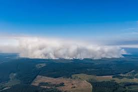 Belgian wildfires: firefighters battle biggest blaze in over a century — The Times