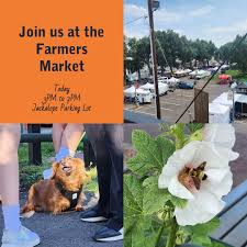Laramie Farmers Market