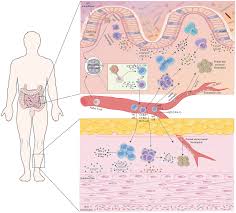 سكس سعوديات سحاق تويتر