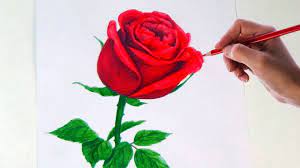 Rose Flower Drawings In Pencil Drawing A Rose Flower With Simple Rose Flower Sketch Images Flower Drawing Rose Flower Sketch Flower Sketch Images