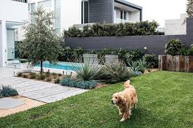 Landscaping Byron Bay Northern Rivers Landscaper Nsw Fig Landscapes Pool Landscape Design Coastal Landscaping Modern Landscaping