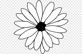If you find any inappropriate image content on pngkey.com, please contact us. Flower Line Art Free Content Drawn Hawaiian Flowers White Leaf Png Pngegg