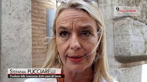 Stefania pucciarelli è nelle tendenze twitter da 2 ore. Stefania Pucciarelli La Presidente Leghista Della Commissione Diritti Umani Sconvolta Dalla Presenza Di Stranieri In Treno
