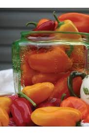 From camelot to monty python and the holy grail, films based on the arthurian legend have provided a steady stream of hits throughout hollywood history. Pepper Seeds Over 325 Hot Bell Sweet Varieties Redemption Seeds