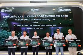 Kartu kredit bank bri bisa anda ajukan aplikasi secara online di cekaja, dapatkan penawaran dan promo menarik. Dukung Anak Usaha Go Digital Bri Luncurkan Kartu Kredit Bri Agro