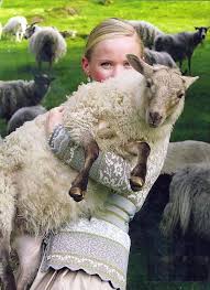 Pin Von Diane Gaul Auf Sheep And Lambs Tiere Schafe Niedlich