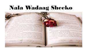 Wasmo somali cusub 2020 fecbok / sheeko wasmo ah facebook. Nala Wadaag Sheeko Posts Facebook