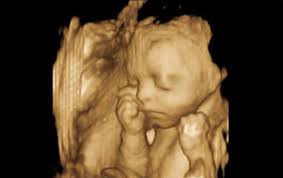 كيف تكون وضعية الجنين في الشهر السادس من الحمل