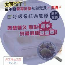 身邊許多朋友問我 床墊怎麼選擇 床工場說明分析 親身體驗試躺 適合自己個人軟硬度 床墊對人體 非常重要 發霉床墊睡久 無形殺手 身體健康最重要 床墊保養