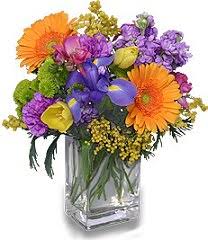 Stargazer lily by shirley heyn. About Us Sugar House Greenhouse Floral Vanlue Oh