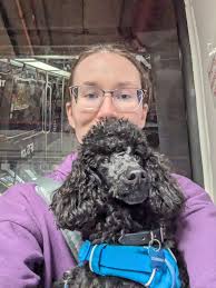 If I fly with a puppy..do employees have to pay the $150.00 pet carryon fee  ?