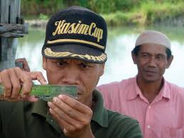 Aquaculture Asia April-June 2013.indd