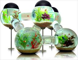 novelty aquariums as part of the dcor