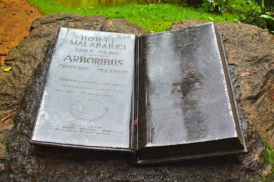 File:Hortus Malabaricus JNTBGRI.jpg - Wikimedia Commons