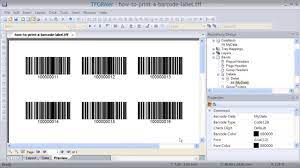 Print Barcode Labels With Professional Labeling Software - Youtube
