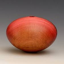 Image result for Berchemia zeyheri