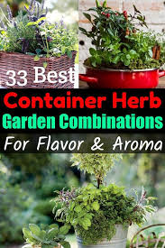 33 Best Container Herb Garden Combinations For Flavor Aroma Container Herb Garden Herb Garden Pots Cooking Herbs