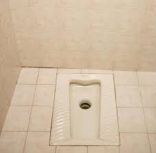 Heimspiel Warum Wir Zur Toilette Mussen Sobald Wir Nach Hause Kommen Welt