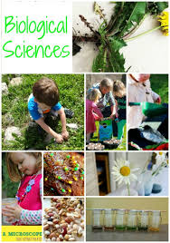 Secret life of the natural history museum. 40 Brilliant Backyard Science Experiments