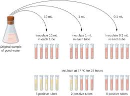 How Microbes Grow Microbiology