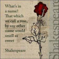 250 Best Shakespeare Quotes About Love And Life Famous Shakespeare Quotes Shakespeare Love Quotes Rose Quotes