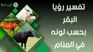 التعليقات تدل على أن من تابع الفيديو حيواانات كل همهم بين رجليهم. ØªÙØ³ÙŠØ± Ø­Ù„Ù… Ø§Ù„Ø¨Ù‚Ø±Ø© Ù…Ø¹Ù†Ù‰ Ø±Ø¤ÙŠØ© Ø§Ù„Ø¨Ù‚Ø±Ø© ÙÙŠ Ø§Ù„Ù…Ù†Ø§Ù… Ø¨Ø§Ù„ØªÙØµÙŠÙ„ Ø§Ø±Ø¨ Ø­Ø¸