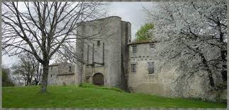 30 Villeneuve La Comtesse Chambre En Compensation Le Souverain Lui Ceda Et Transporta En Mai 1423 Les Chateau Cha Chateau Fontenay Le Comte Le Manoir