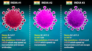 The health agency said, as of tuesday, it detected the b1617 variant first detected in india in sequences from at least 17 countries, including the u.s. Qzqlynjrwxcoum