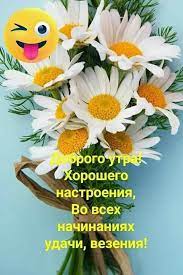 Доброе утро — летние картинки с котятами. Belym Oblachkom Po Svetu Plyl Iyul Smeyalos Leto Dobroe Utro Utrennie Citaty Utrennie Soobsheniya