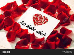 Bab.la is not responsible for their content. Ich Liebe Dich Against Image Photo Free Trial Bigstock