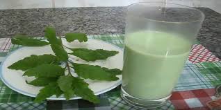 Atualmente o mastruz ocupa seu lugar merecido. Mastruz Com Leite Conheca Os Inumeros Beneficios Para A Saude