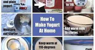Do You Need To Heat Milk For Yogurt Making Northwest Edible Life