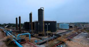 Harga minyak goreng terbaru : Harga Minyak Brent Turun Hingga 2 17 Imbas Lonjakan Kasus Covid 19 Katadata Co Id