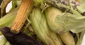 GMALL Presents - The Art of Corn
