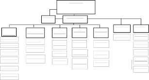 Blank Organizational Chart Cumberland College Free Download