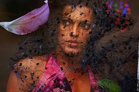 Mariette Pathy Allen: Orchid Overlooking The Hudson River