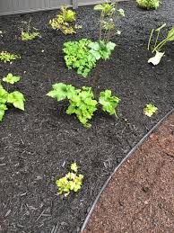 Pin On Soil Mulch Composting