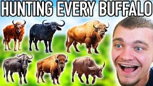 I Hunted Every Buffalo in Hunter call of the Wild!