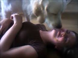 DOG WITH LADY ENJOY IN ROOM FULL HD PICTURE.