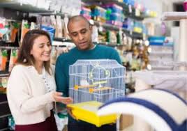 An Open Letter To Federal, State And Local Government Officials Regarding  Pets And COVID-19 Precautions