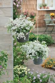 Metall pflanztopf blumentopf garten gießkanne wasserkanne vintage landhaus deko. Pin Auf Garten Kreativ