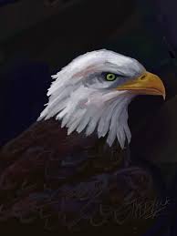 Tnartist Shop Redbubble Eagle Painting Eagle Art Bald Eagle