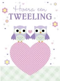 Gefeliciteerd Tweeling Tweeling Felicitatie Wensen En Teksten