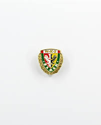 Historia występów wrocławian na europejskich arenach sięga aż 1975 roku. Wpinka Metalowa Sklep Wks Slask Wroclaw