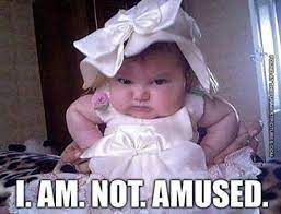 Funny Memes A Collection Of Funny Memes Updated Daily Funny Baby Memes Funny Baby Pictures Baby Memes