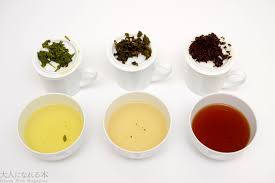 茶の種類の違い 紅茶 烏龍茶 緑茶 大人になれる本