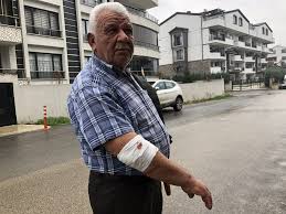 Basibos Kopekler Yasli Adama Saldirdi Hastanelik Etti Olay Gazetesi Bursa