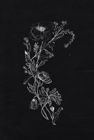 Maybe you would like to learn more about one of these? Aesthetic Flowers Black And White Largest Wallpaper Portal