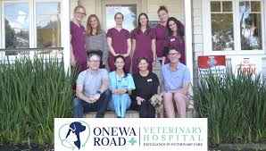 Onewa Road Veterinary Hospital